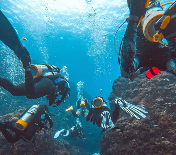 LIONFISH SCUBA Dive Center