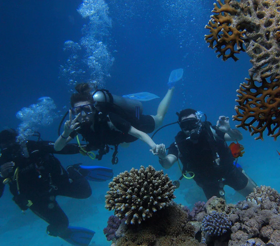 LIONFISH SCUBA Dive Center