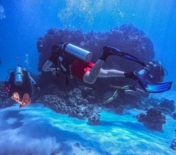 LIONFISH SCUBA Dive Center