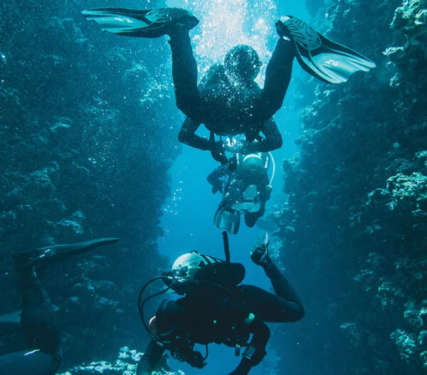 LIONFISH SCUBA Dive Center