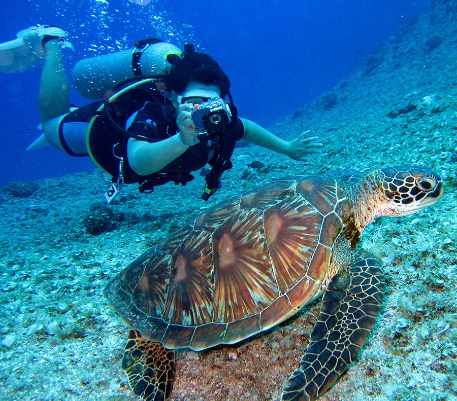 LIONFISH SCUBA Dive Center
