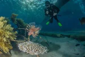 LIONFISH SCUBA Dive Center