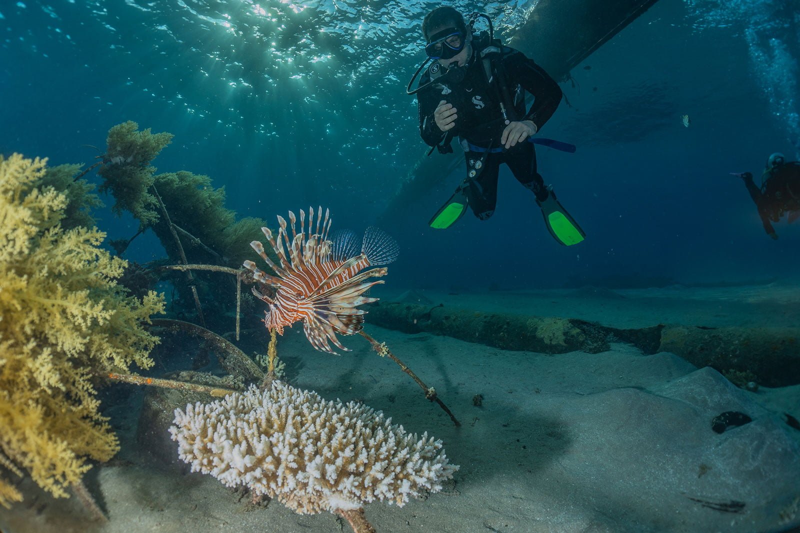 LIONFISH SCUBA Dive Center